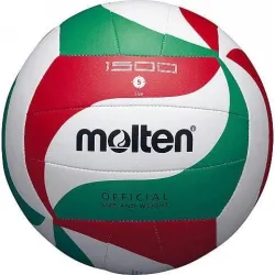 Walleyball ball v5m1500