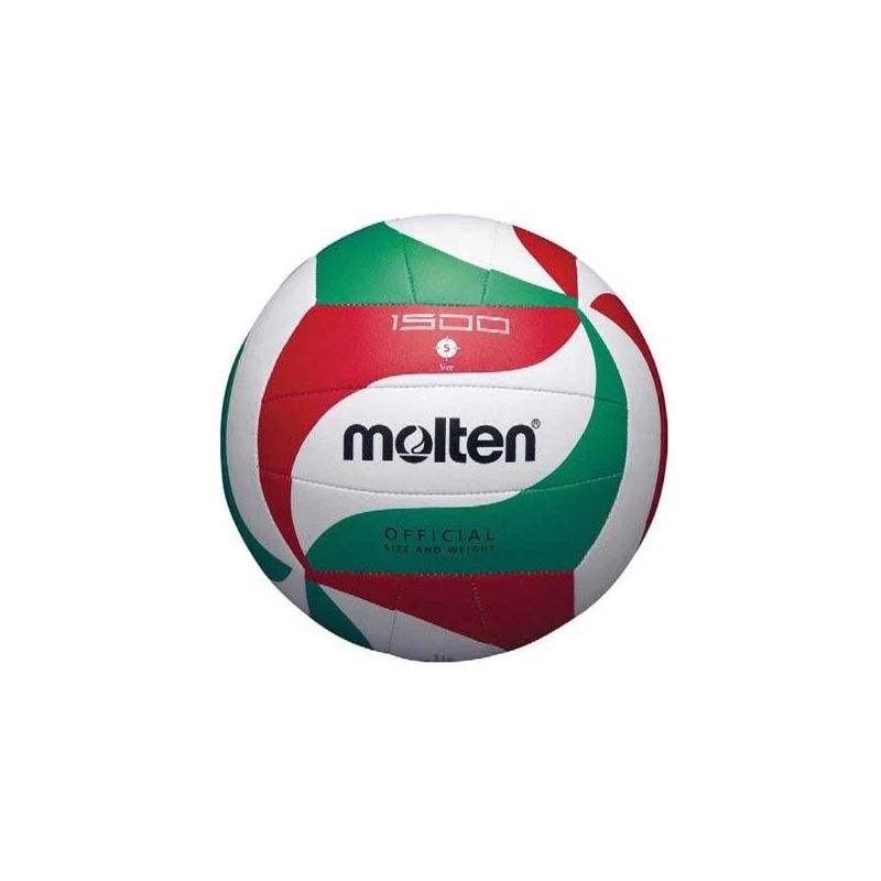 Walleyball ball v5m1500