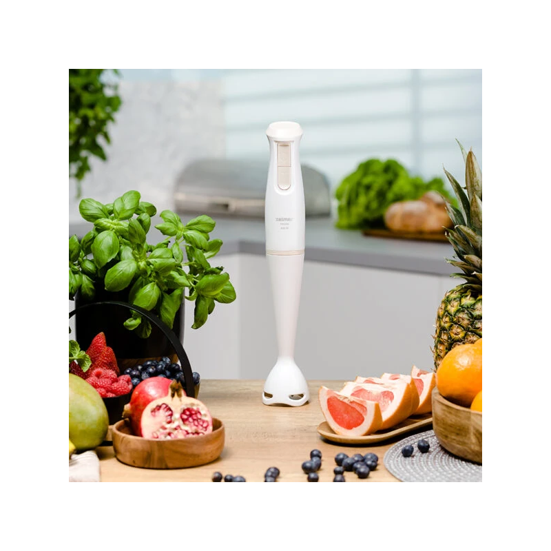 Zelmer ZHB4560I Pulsar