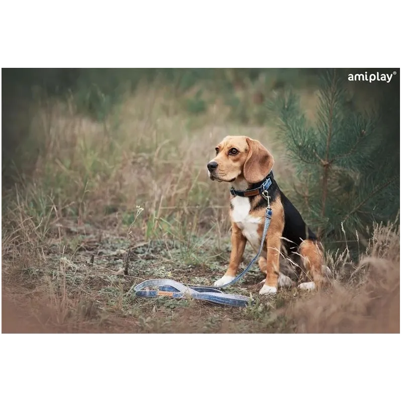 Suņu pavada Amiplay Denim 124885, zila krās., 1.4m x 1cm