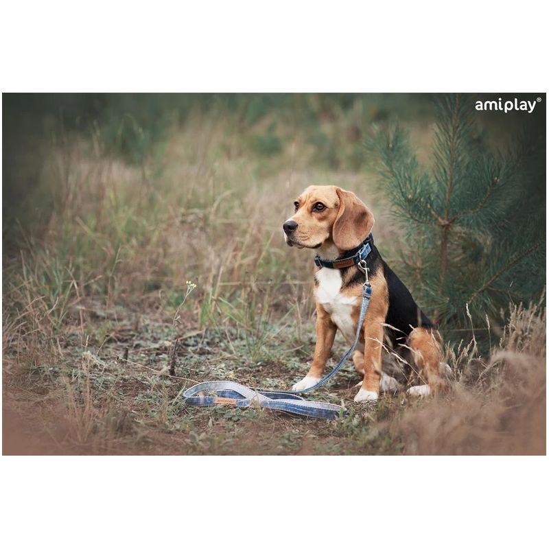 Leash for dogs denim s 140x1cm blue