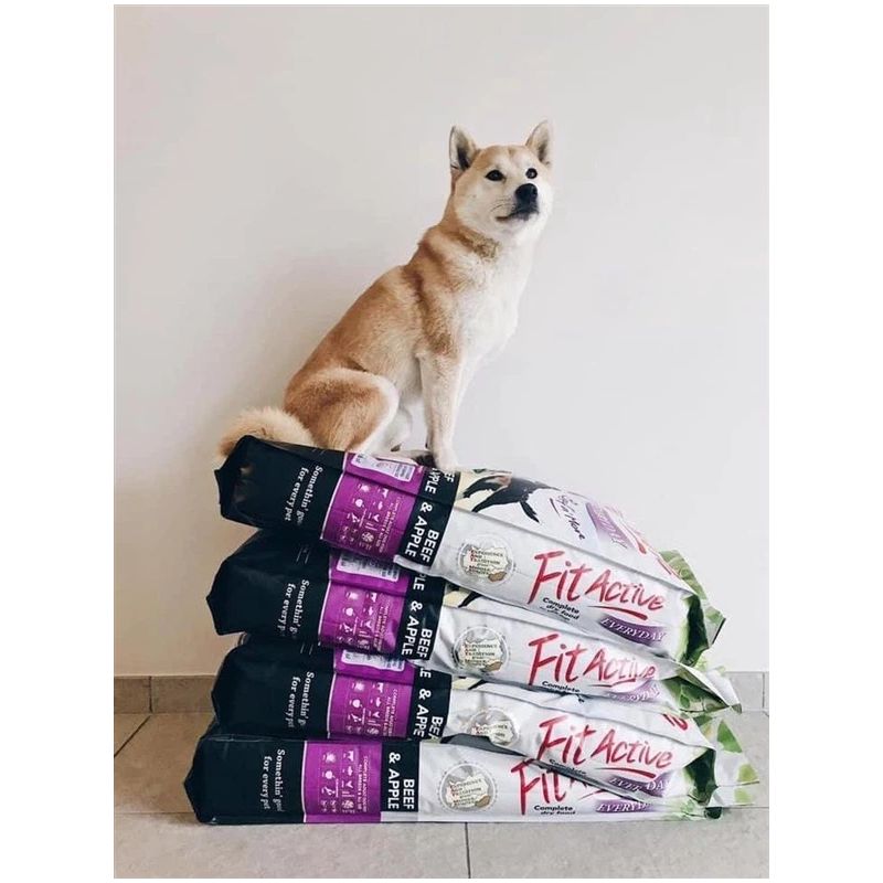 Barība suņiem fitactive everyday 15kg