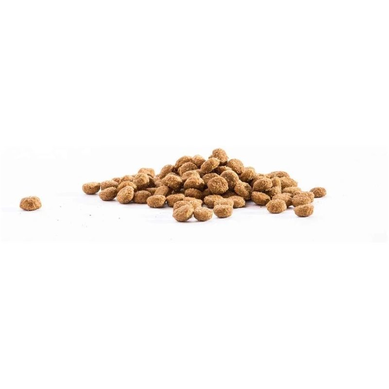 Barība kucēniem fit active 300g