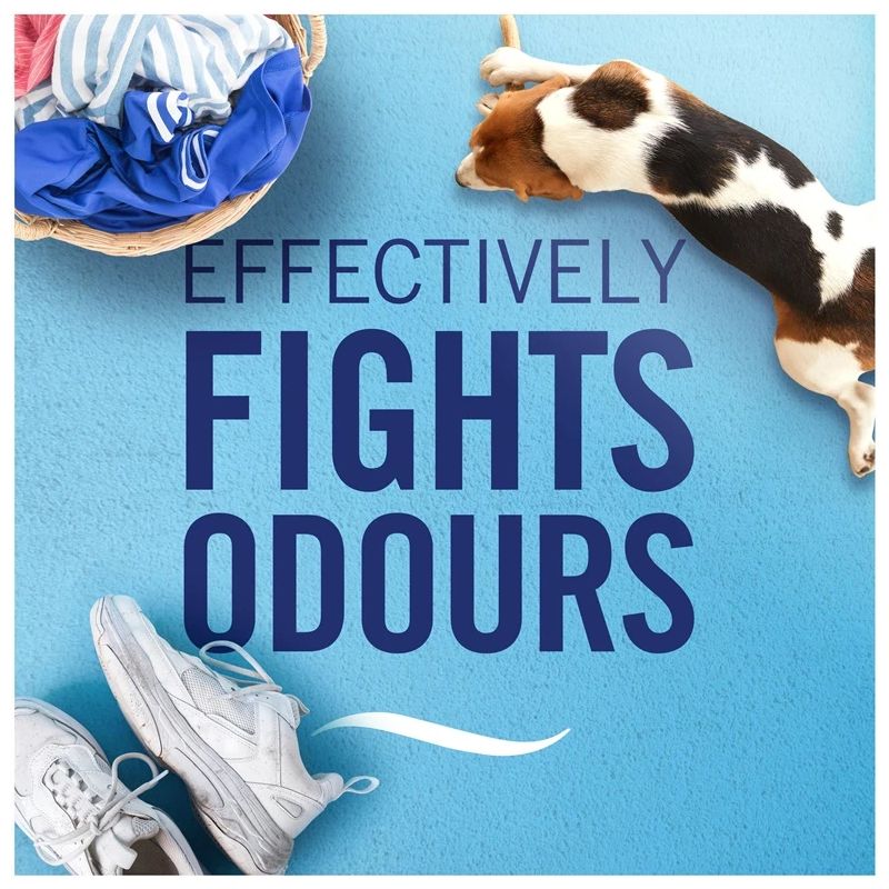 Gaisa atsvaidzinātājs Ambi Pur Flowers and Spring.0.37l 2gab