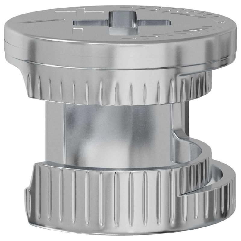 vidaXL Kameru bloķēšanas uzgriežņi 12 pcs Sudraba 12 x 10 mm Tērauds