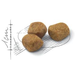 Barība fhn indoor+7 1.5kg