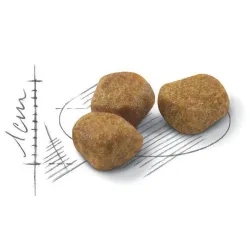 Barība fhn indoor+7 1.5kg