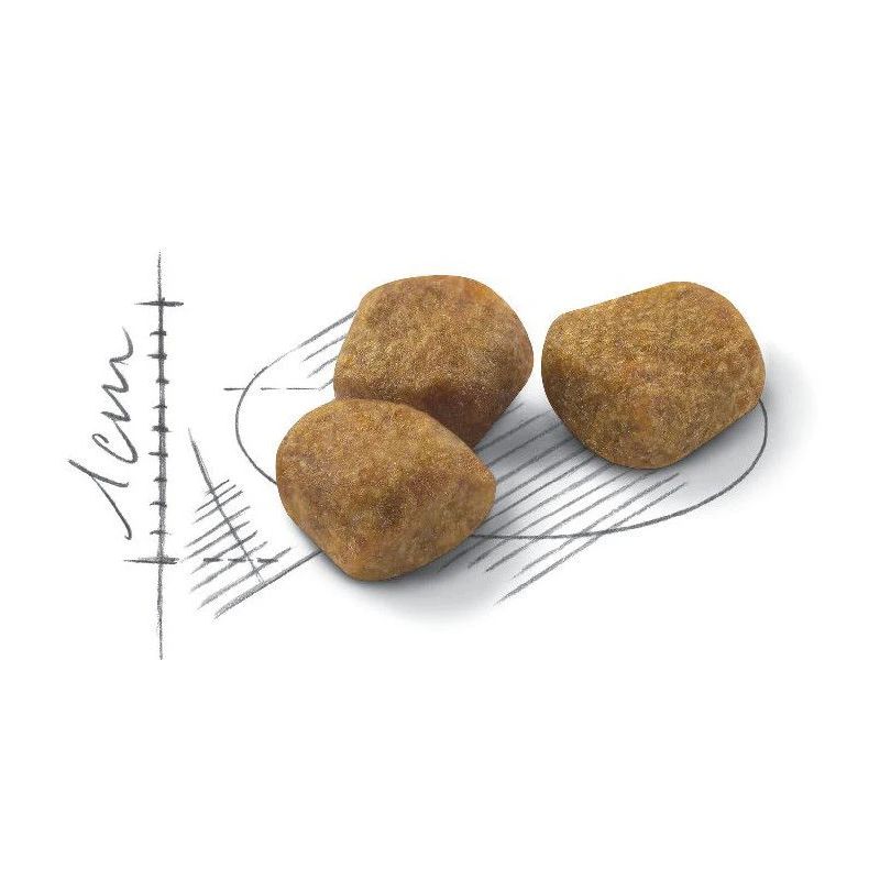 Barība fhn indoor+7 1.5kg