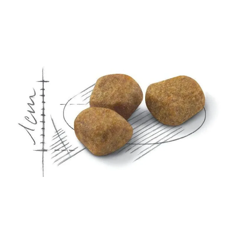 Sausā kaķu barība Royal Canin Indoor +7, vistas gaļa, 1.5 kg