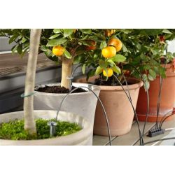 Brīvdienu laistīšanas sistēma bez tvertn