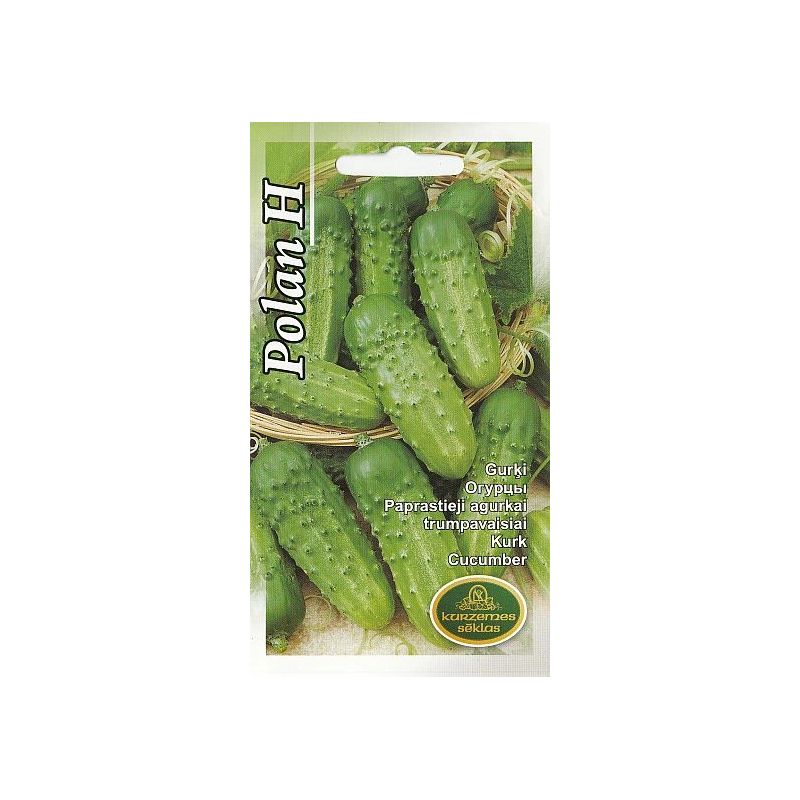 Sēklas gurķi polan h