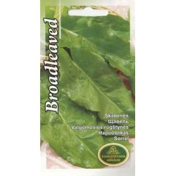 Sēklas skābenes broadleaved