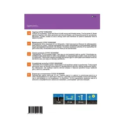 Sėklos Garden Center serentis Gypsy Sunshine, 0.4 g