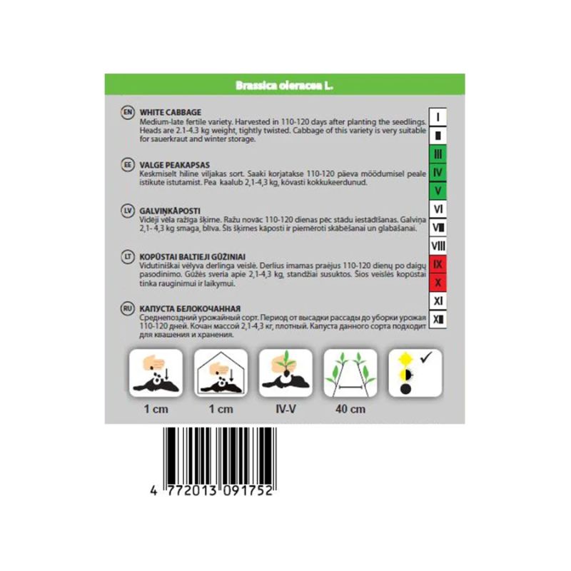 Sēklas galviņkāposti pourovo polopozdni
