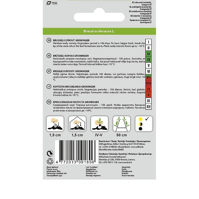 Sēklas briseles kāposti groninger