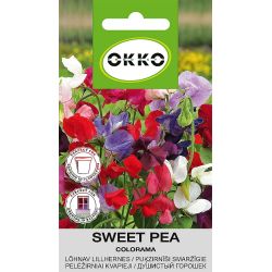 Sēklas smaržīgie puķuzirnīši colorama