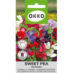 Sėklos Okko pelėžirnis Colorama, 2 g