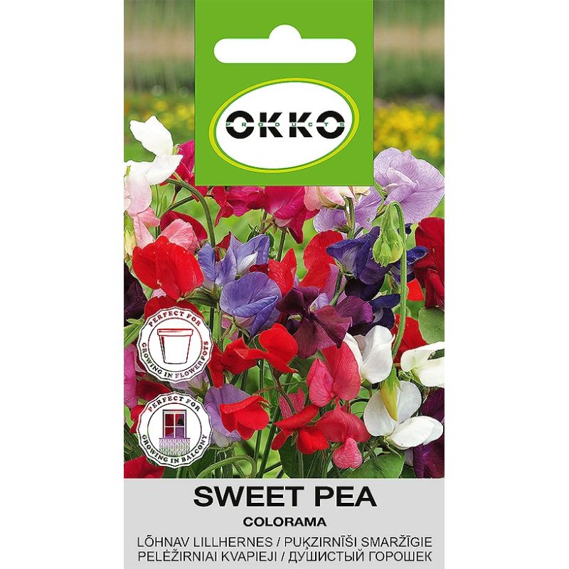 Sēklas smaržīgie puķuzirnīši colorama