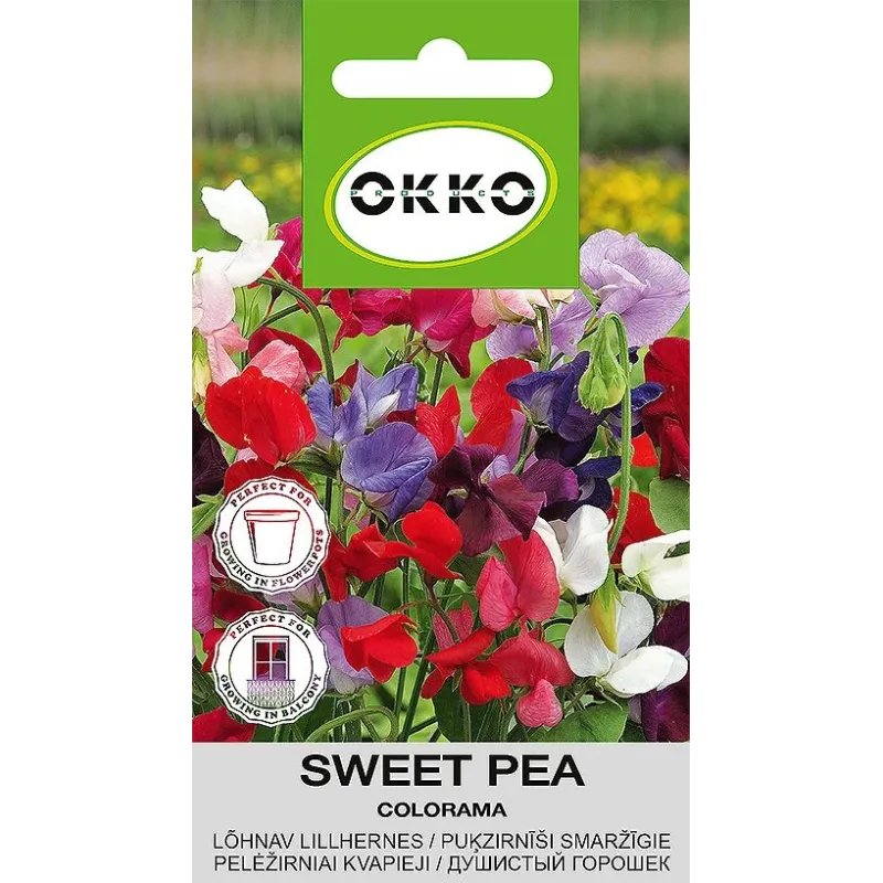 Семена Okko чина Colorama, 2 г