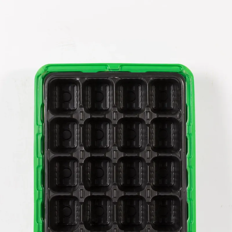 Sēklu trauks Garden Center 198662, 35.5 cm x 22 cm x 6.5 cm