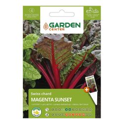 Dārz. sēklas lapu bietes magenta sunset