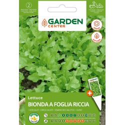 Sēklas dārzeņu salāti bionda green 2g