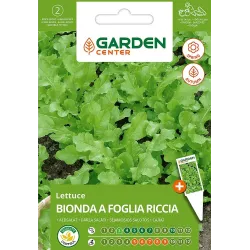 Sēklas dārzeņu salāti bionda green 2g