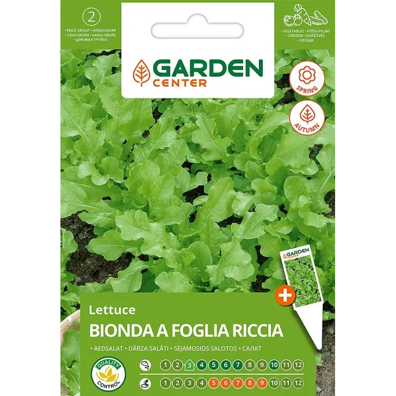 Sēklas Garden Center, salāti BIONDA A FOGLIA RICCIA GREEN, 2 g
