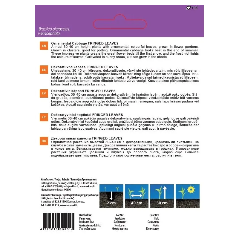 Sēklas Garden Center dekoratīvie kāposti FRINGED LEAVES, 0.3 g