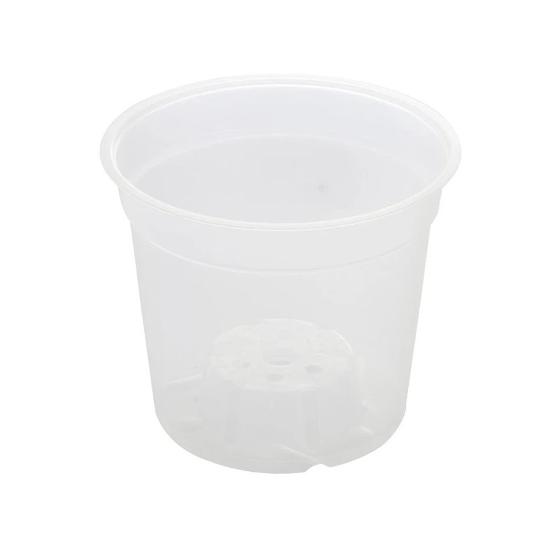 Pods orhideju caurspīdīgs 15cm mch15