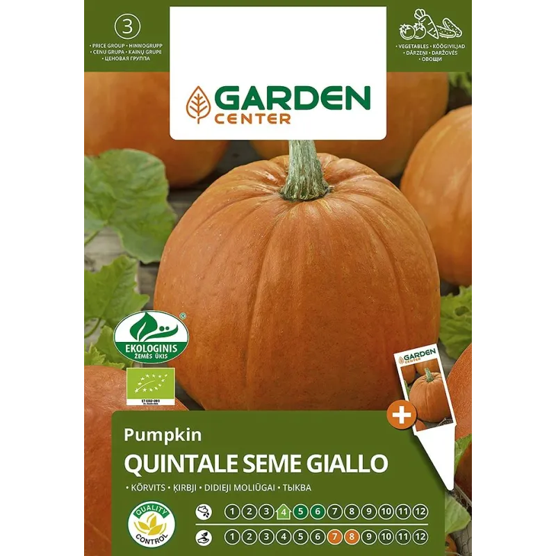 Sēklas Garden Center, ķirbis QUINTALE SEME GIALLO, 2 g