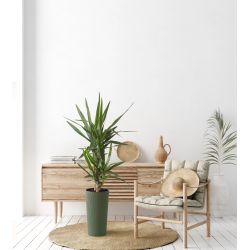 Puķupods pl. lilia jumper 875-42 250