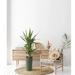 Gėlių vazonas Lamela Lilia 875-42, plastikinis, žalia sp.