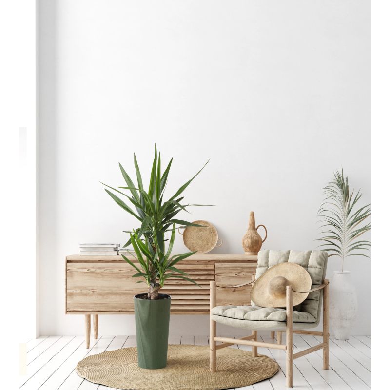 Puķupods pl. lilia jumper 875-42 250