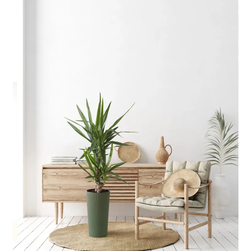 Puķu pods Lamela Lilia 875-42, plastmasa, zaļa