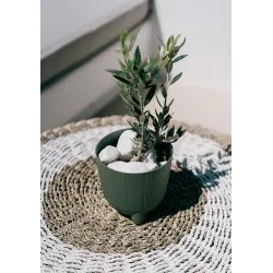 Puķu pods Prosperplast Ryfo DRF170N-5615C, plastmasa, zaļa