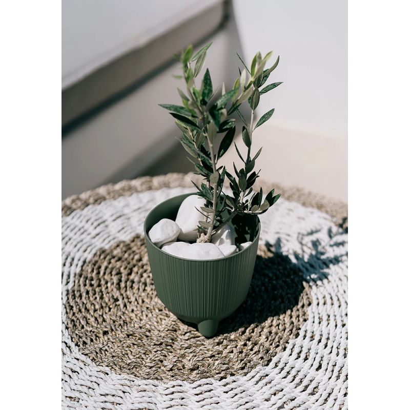 Puķupods ryfo n drf170n-5615c