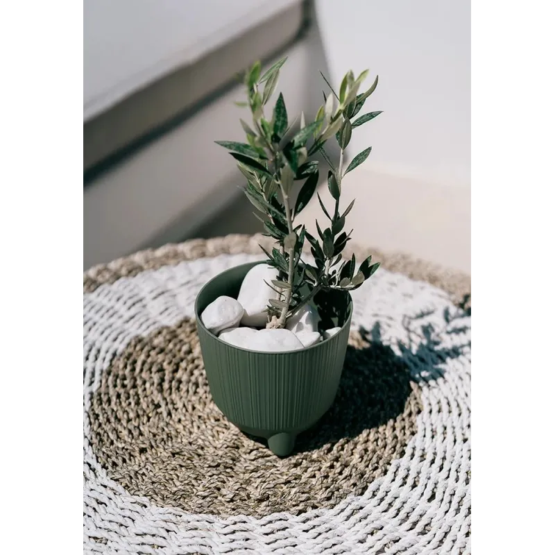 Puķu pods Prosperplast Ryfo DRF170N-5615C, plastmasa, zaļa