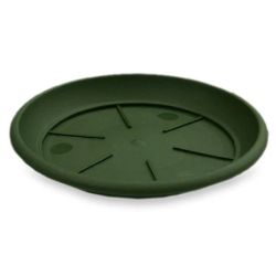 Paliktnis puķu podam siena d39 zaļš