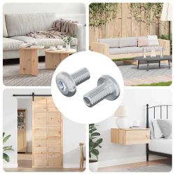 vidaXL Slēdzene skrūve Vienkrāsains 2 pcs Sudraba M6 x 12 mm Tērauds