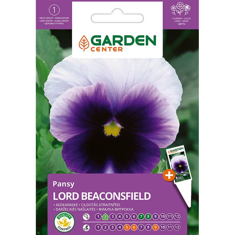 Sēklas atraitnītes lord biconsfield