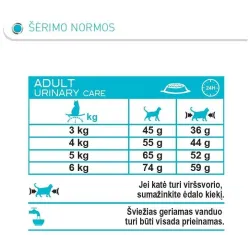 Kuiv kassitoit Royal Canin FCN Urinary Care, kanaliha, 0.4 kg