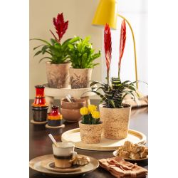 Vāze keramikas 778-14 cork jungle d14