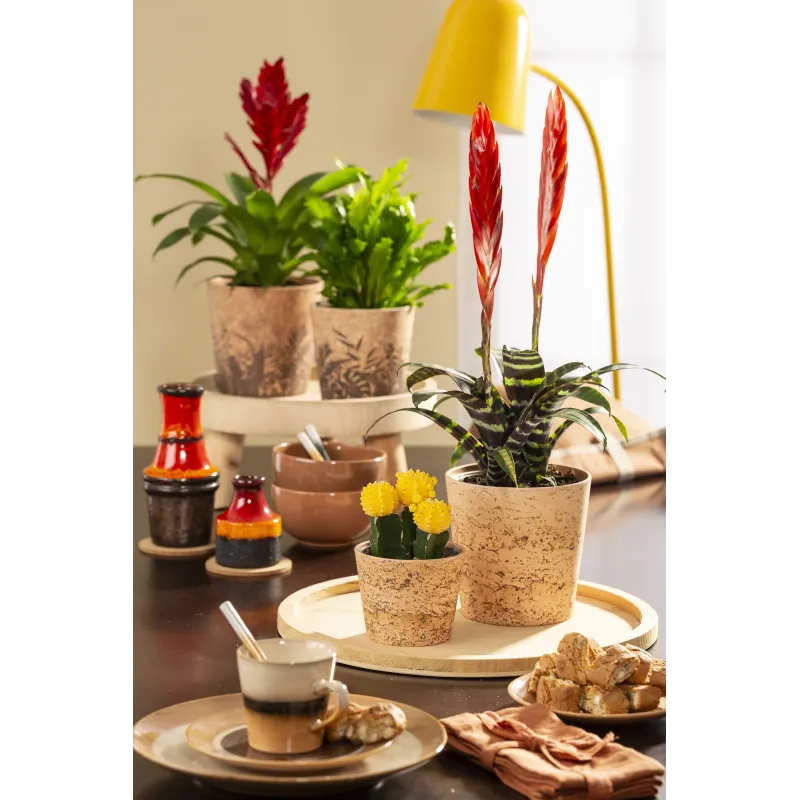 Puķu pods Scheurich Cork Jungle 66986, keramika, brūna