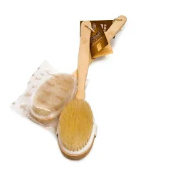Back brush wooden Fit Brush, 12,