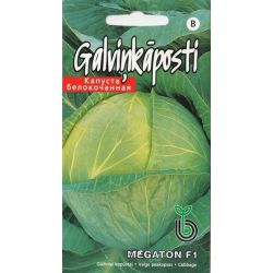 Sēklas kāposti megaton f1