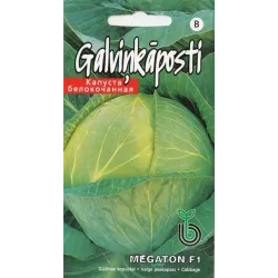 Sēklas Kurzemes sēklas, kāposti MEGATON F1, 0.1 g
