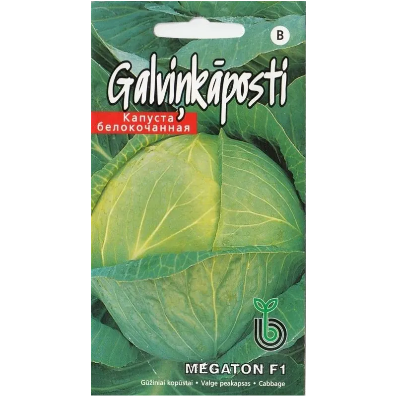 Sēklas Kurzemes sēklas, kāposti MEGATON F1, 0.1 g