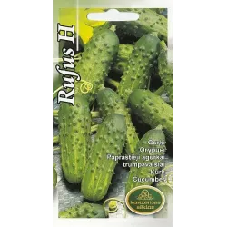Sēklas Kurzemes sēklas, gurķi Rufus H, 1 g