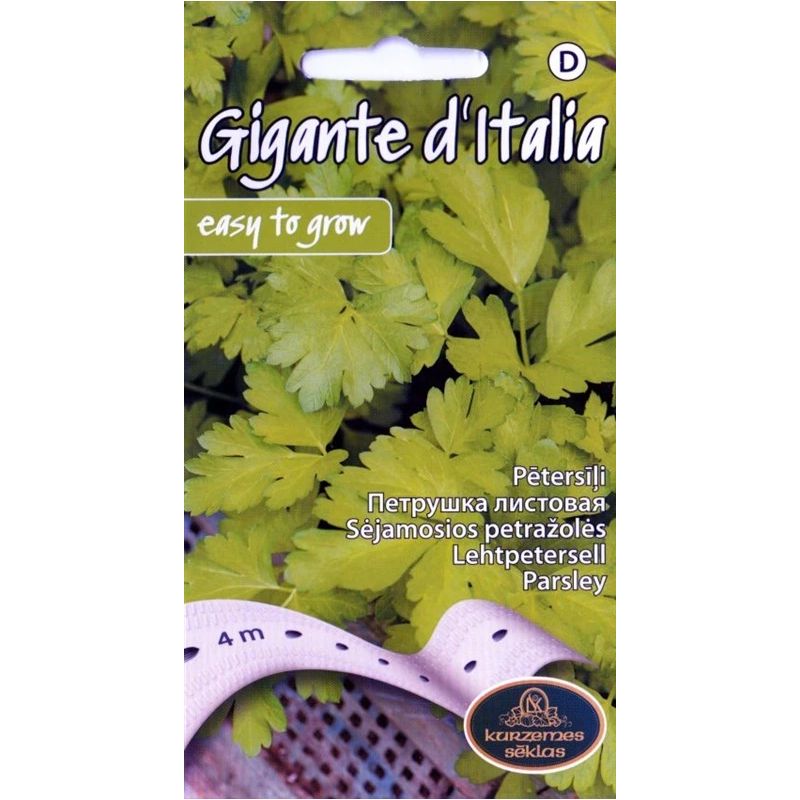 Sēklas pētersīļi gigante ditalia